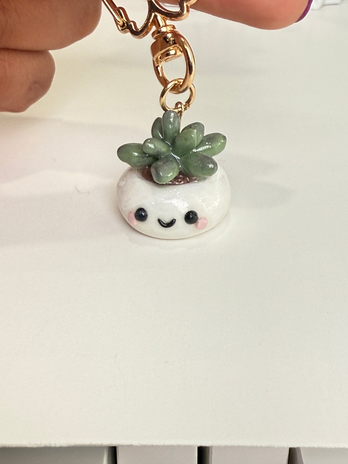 Succulent pot
