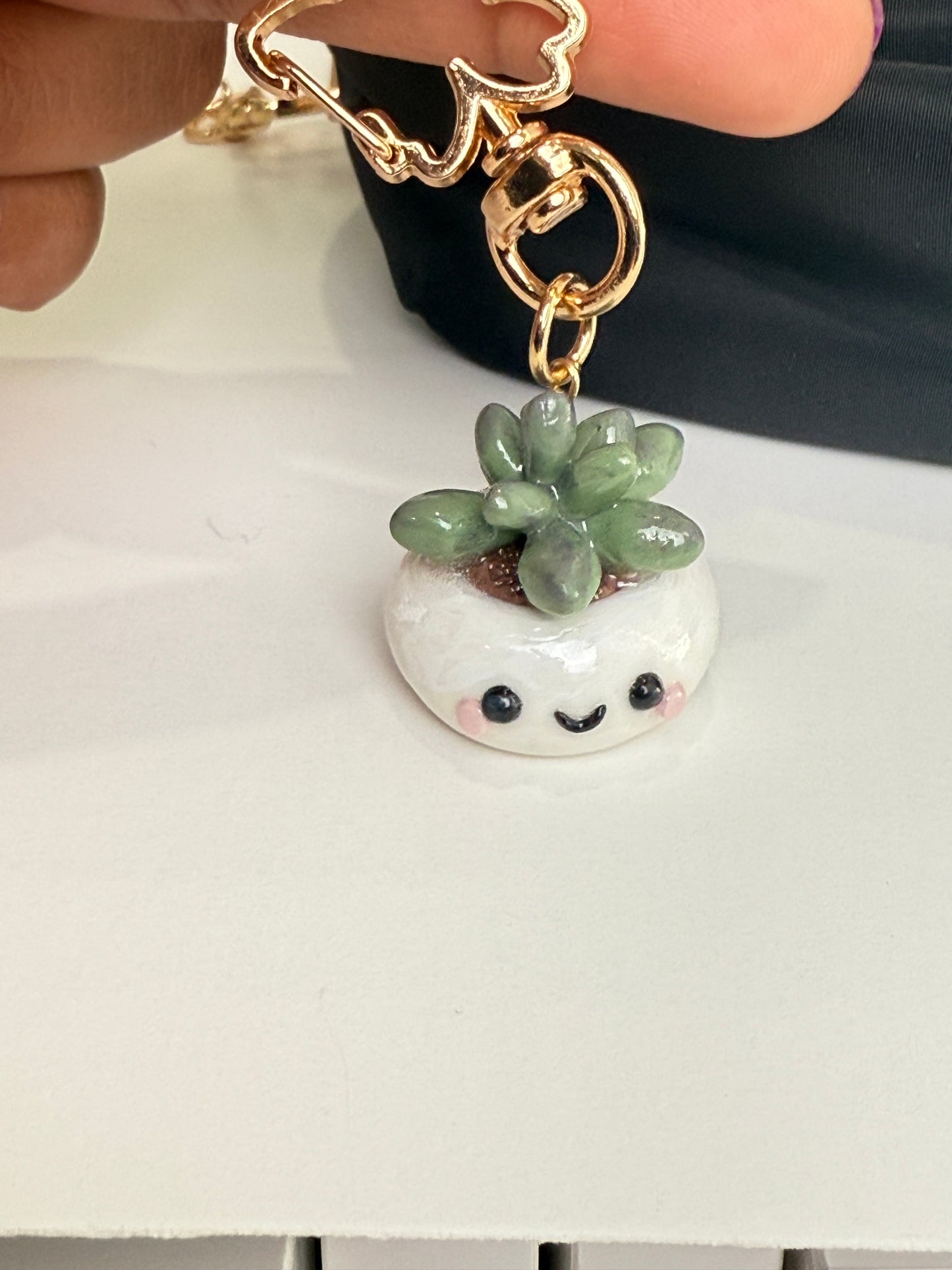 Succulent pot