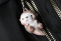 Otter Keychain