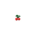 Charms - Fruits and Vegetables