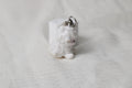 Sheep Keychain