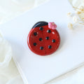 Lady Bug Worry Pal