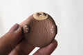Sloth Worry Pal