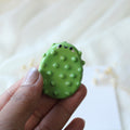 Pickle Worry Pal