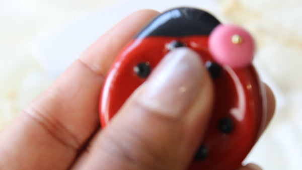 Lady Bug Worry Pal